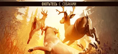 Скриншот приложения Deer Hunter 2018 - №3