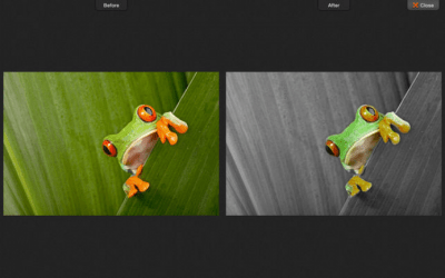 Скриншот приложения ColorStrokes - №3