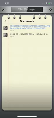 Скриншот приложения RockPlayer2 - №3