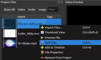 Скриншот приложения OpenShot Video Editor - №2