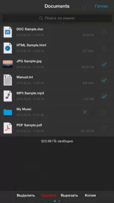 Скриншот приложения iFile - №3