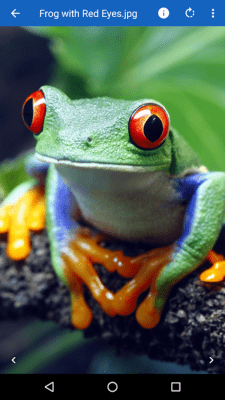 Скриншот приложения File Viewer for Android - №6