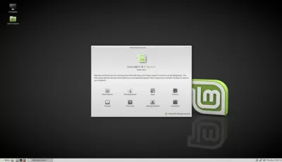 Скриншот приложения Linux Mint - №1