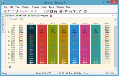 Скриншот приложения SecureCRT - №4