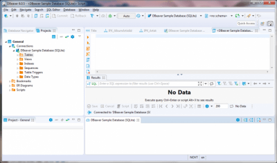 Скриншот приложения DBeaver Windows - №5