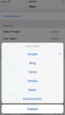 Скриншот приложения DManager Browser & Documents - №3