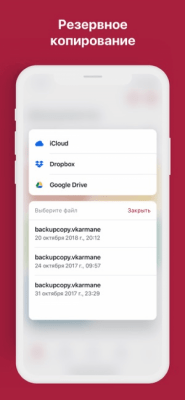 Скриншот приложения ВКармане: хранение документов - №7