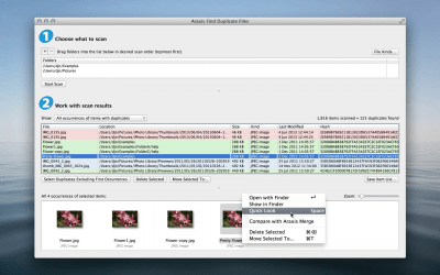Скриншот приложения Araxis Find Duplicate Files - №2