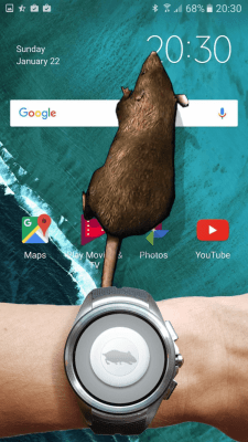 Скриншот приложения Мышь на экране Страшная Шутка - №11