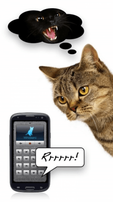 Скриншот приложения Кошачьи голоса - играй со своей кошкой! - №2
