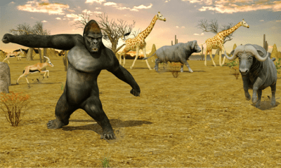 Скриншот приложения Sniper Hunter Safari Survival - №7