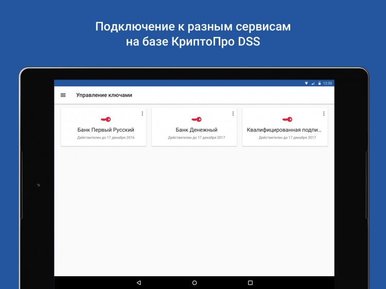 Mydss как пользоваться на компьютере