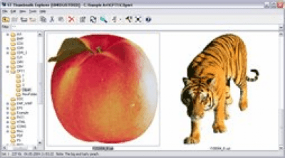 Скриншот приложения ST Thumbnails Explorer - №4