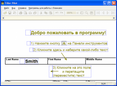 Скриншот приложения Form Filler Pilot - №1