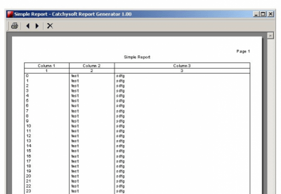 Скриншот приложения Catchysoft Report Generator Pro - №1