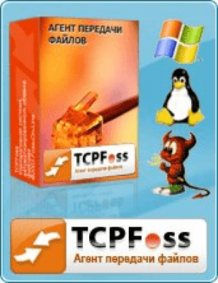 Скриншот приложения TcpFoss - №2