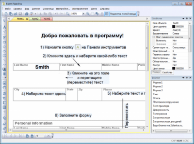 Скриншот приложения Form Pilot Pro - №1