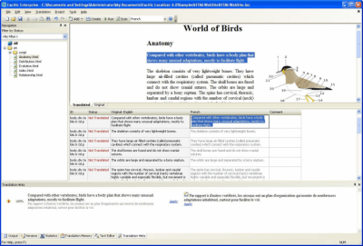 Скриншот приложения Excitic Website Localization Tool - №1