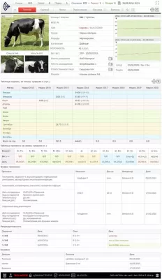 Скриншот приложения Учет крупного рогатого скота. Расчет рациона КРС - №3