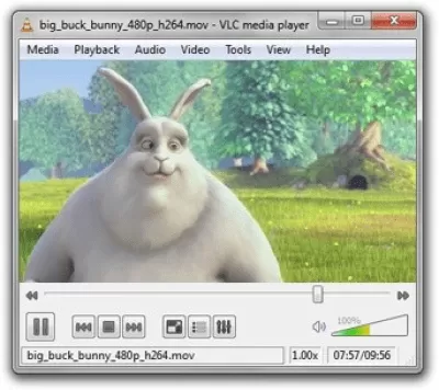 Скриншот приложения VLC Media Player для Windows - №4