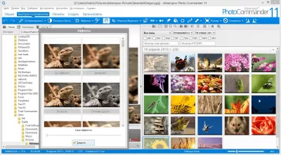 Скриншот приложения Ashampoo Photo Commander - №3