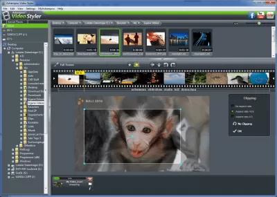 Скриншот приложения Ashampoo Video Styler - №2