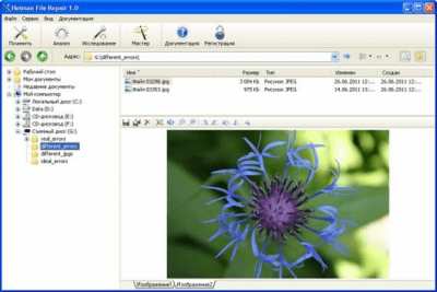 Скриншот приложения Hetman File Repair - №1