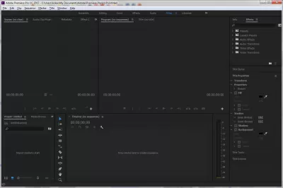 Скриншот приложения Adobe Premiere Pro CC - №2