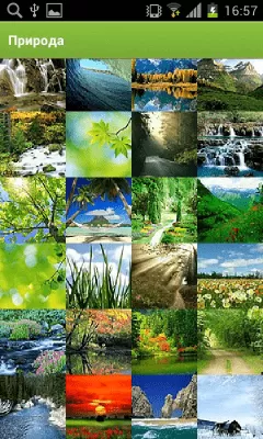 Скриншот приложения Яндекс Фотки - №4