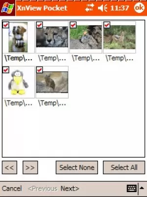Скриншот приложения XnView - №4