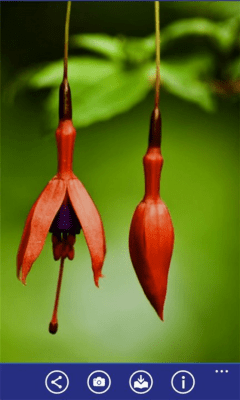 Скриншот приложения Photobucket - №4