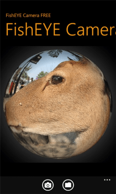 Скриншот приложения FishEYE Camera FREE - №8