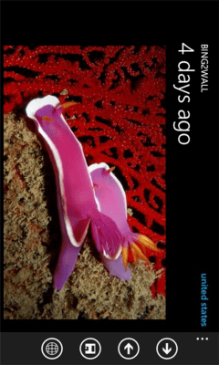 Скриншот приложения Bing2Wall (free) - №3