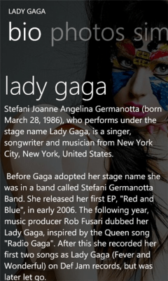 Скриншот приложения Artist Info - №4