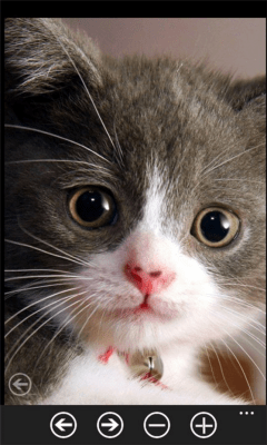 Скриншот приложения Web Picture Viewer - №4