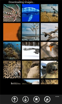 Скриншот приложения Web Picture Viewer - №6