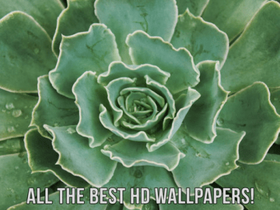 Скриншот приложения Обои HD - №3