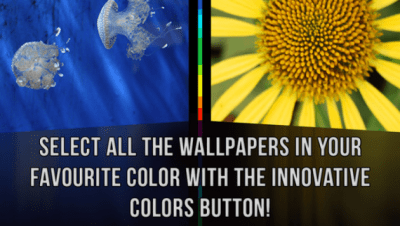 Скриншот приложения Обои HD - №4