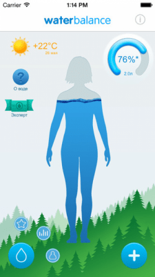 Скриншот приложения Waterbalance - №8
