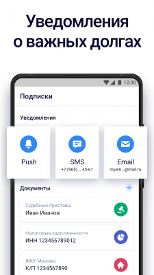 Скриншот приложения Госдолги - №6