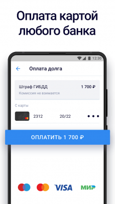 Скриншот приложения Госдолги - №10