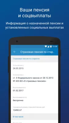 Скриншот приложения ПФР Электронные сервисы - №5