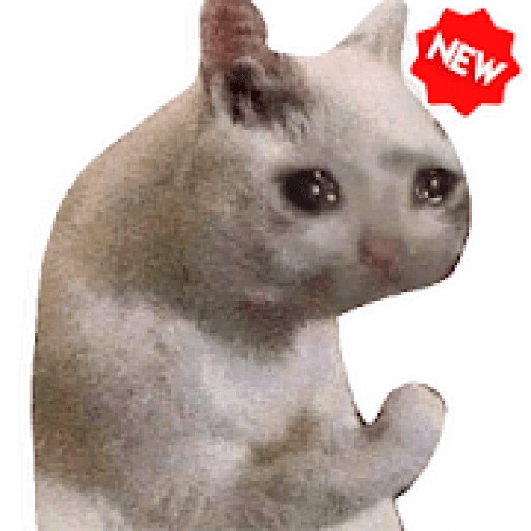 скачать Новые смешные наклейки мем кошки WAStickerApps 2.0.1 (официальная в...