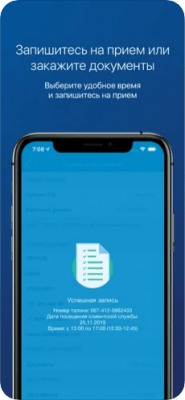Скриншот приложения ПФР Электронные сервисы - №3
