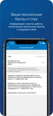 Скриншот приложения ПФР Электронные сервисы - №4