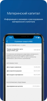 Скриншот приложения ПФР Электронные сервисы - №5
