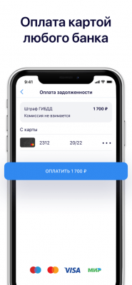 Скриншот приложения Госдолги - №4