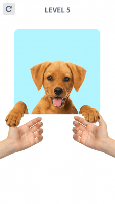 Скриншот приложения Brain Puzzle: 99 Games - №6