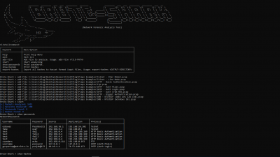 Скриншот приложения BruteShark - №6