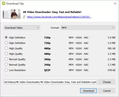Скриншот приложения 4K Video Downloader - №2